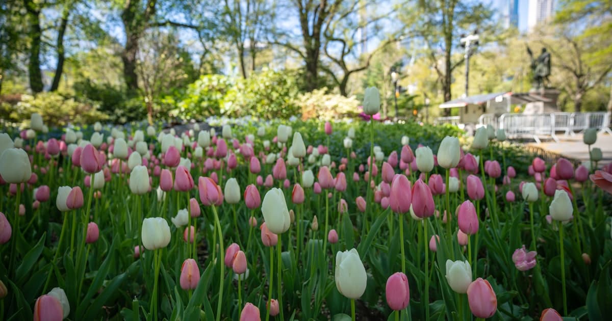 Bad Lippspringe im Frühling: Gartenschau, Kurwald und Ausflugstipps